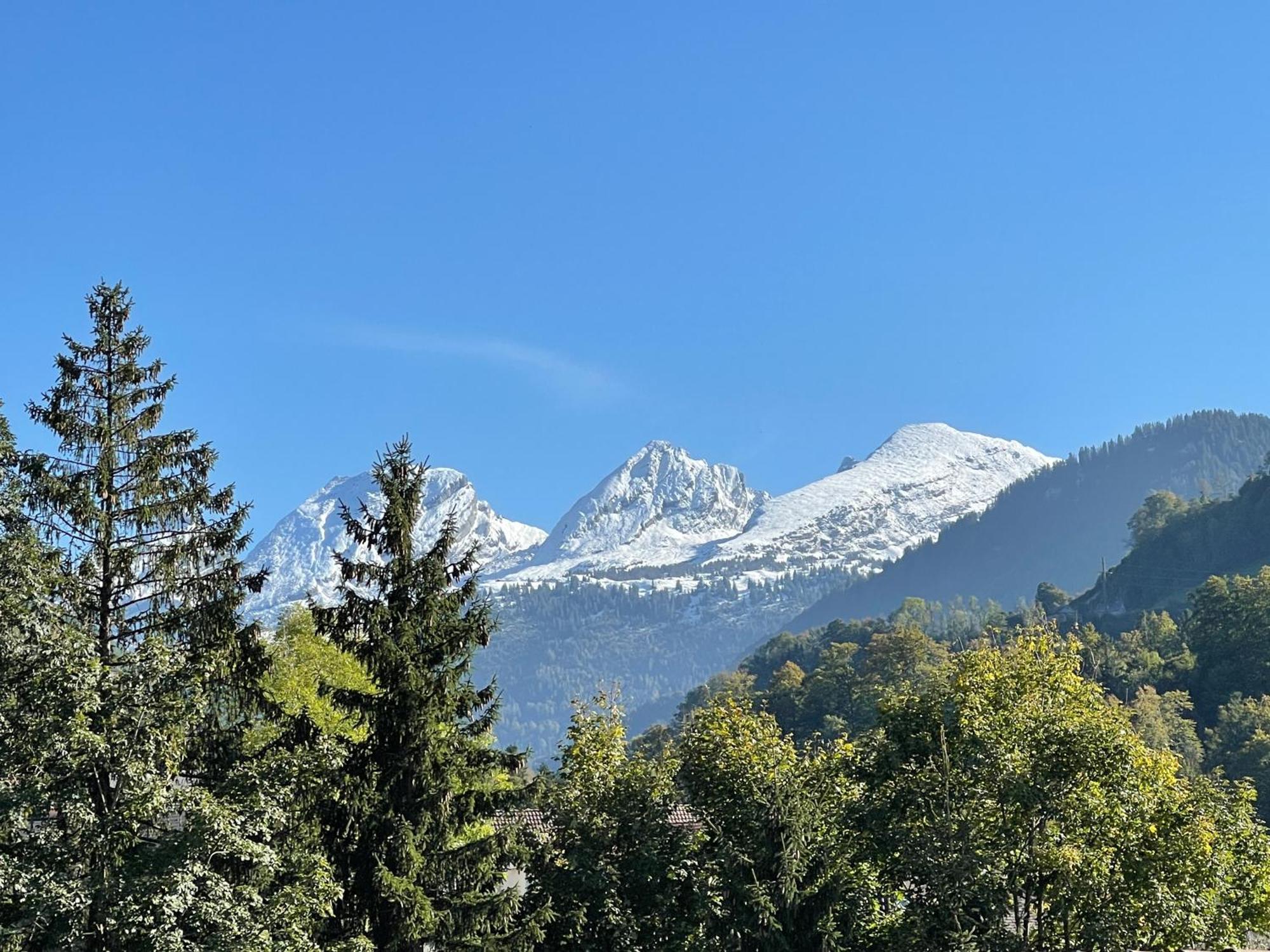 Villa Blaesschopfhuesli Nesslau Esterno foto